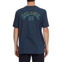 Polera Arch Fill T-Shirt para Hombres Marca Billabong