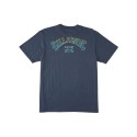 Polera Arch Fill T-Shirt para Hombres Marca Billabong