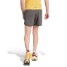 Shorts de Trail Running Terrex para Hombres Marca Adidas